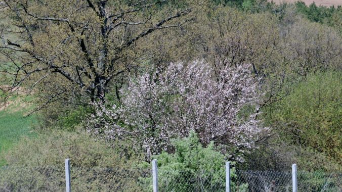 Çiftliğe Adım Adım – Tarladan Çiftliğe Yolculuk.