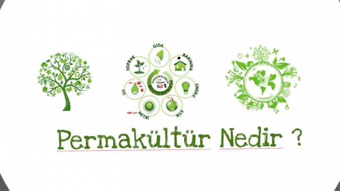 Permakültür Nedir?