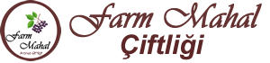 Farm Mahal Aronya Çiftliği – Balıkesir