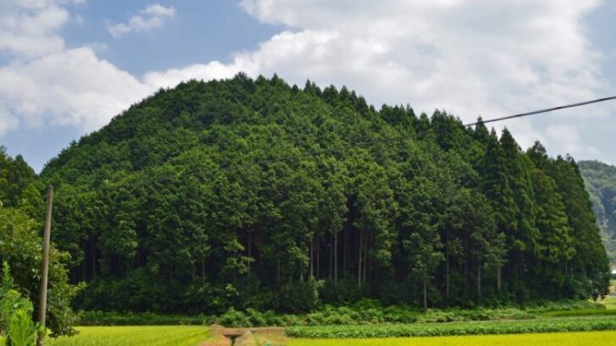 Kızılağaç Orman ve Tepeler (Forest and Hills)