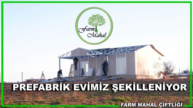 Prefabrik Evimiz Şekillenmeye Başladı